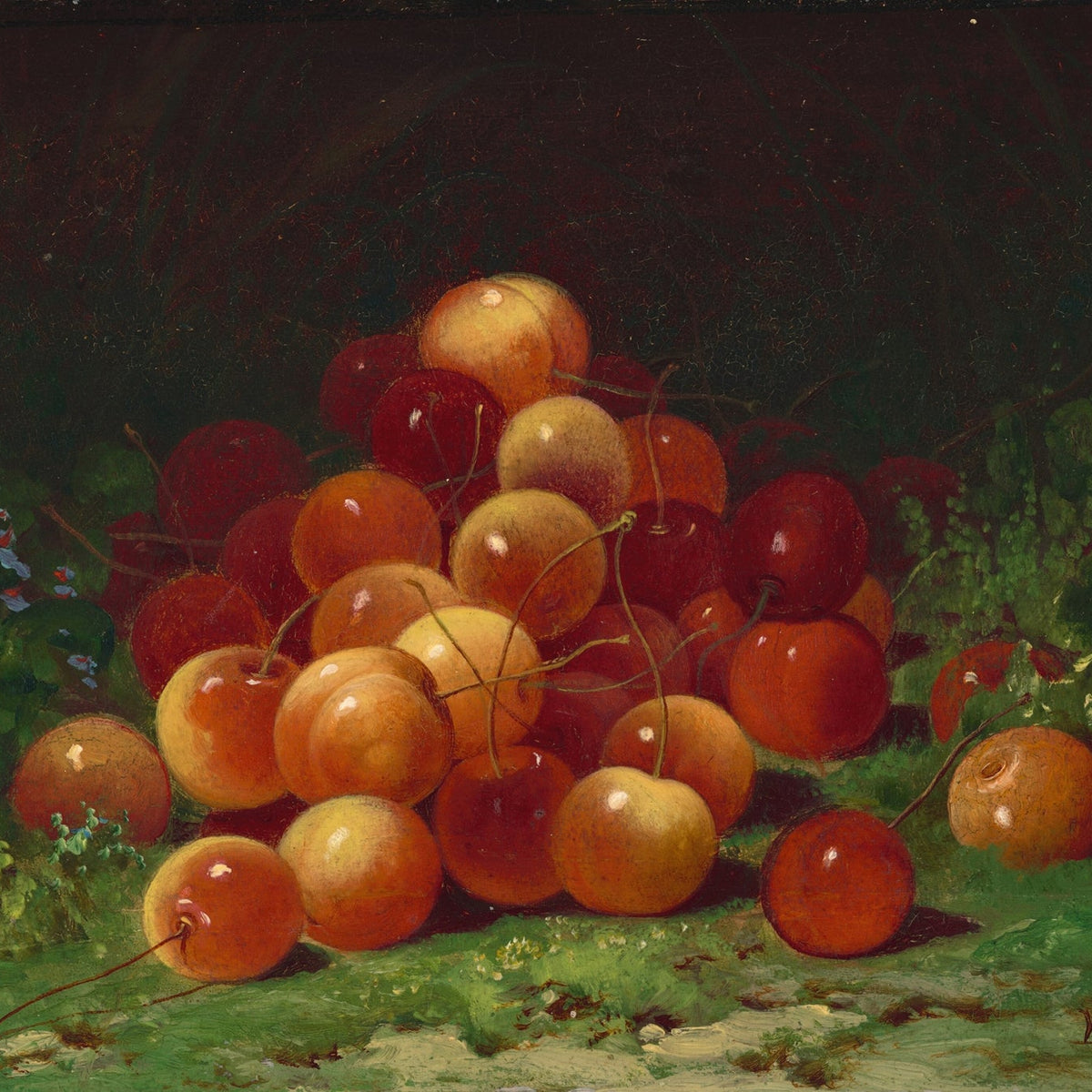 Cherries on Green Ground - Still Life Oil Painting - Oil Painting Haven