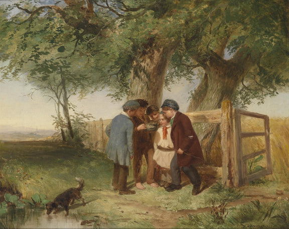 Children Discovering Nature by the Farm Gate - People Oil Painting - Oil Painting Haven