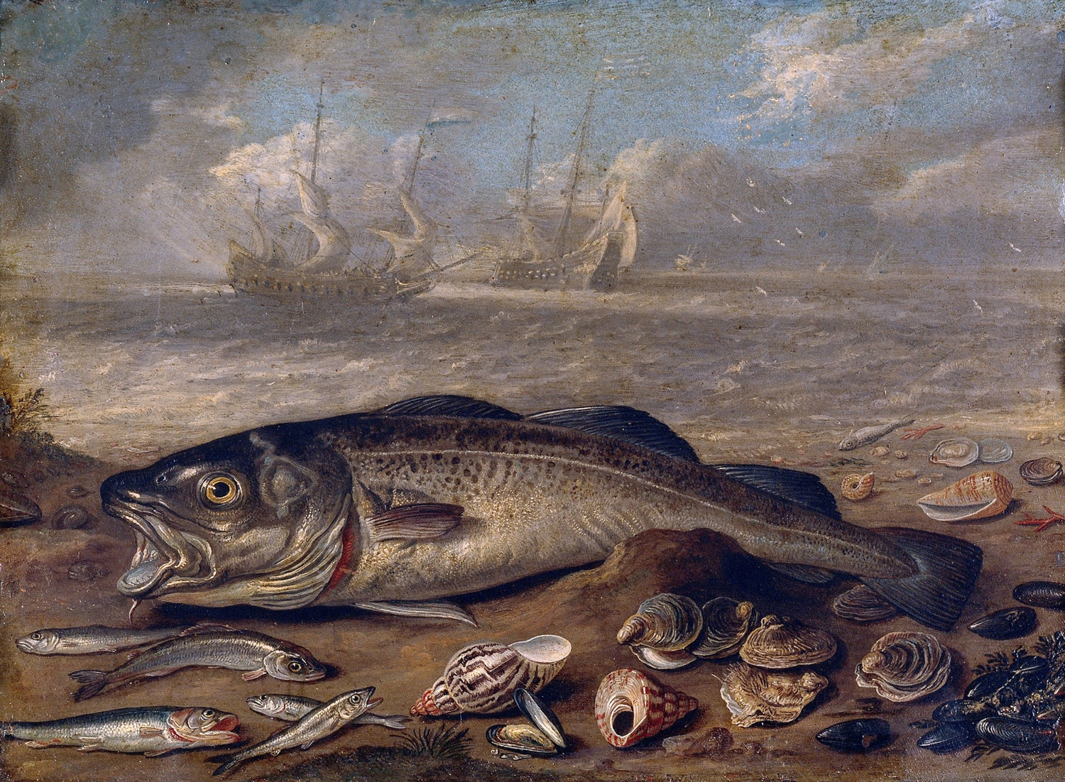 Cod Fish and Seashells by the Shore - Still Life Oil Painting - Oil Painting Haven