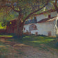 A White House among Trees - Oil Painting Haven