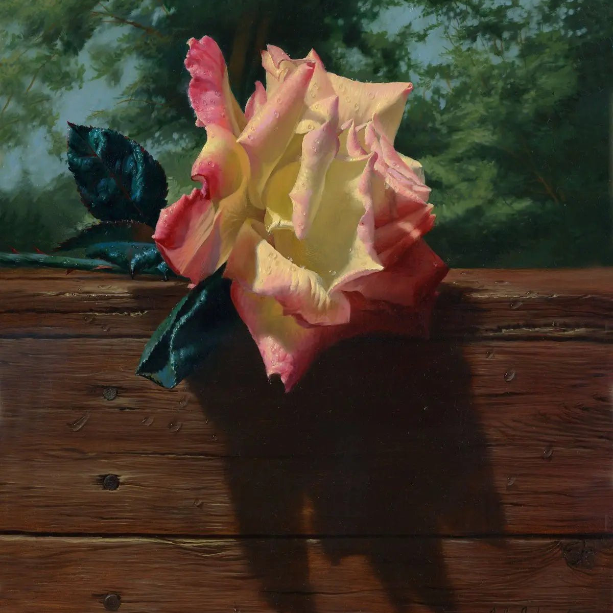 Floral Oil Painting | Bi - colored Rose on Wooden Surface - Oil Painting Haven