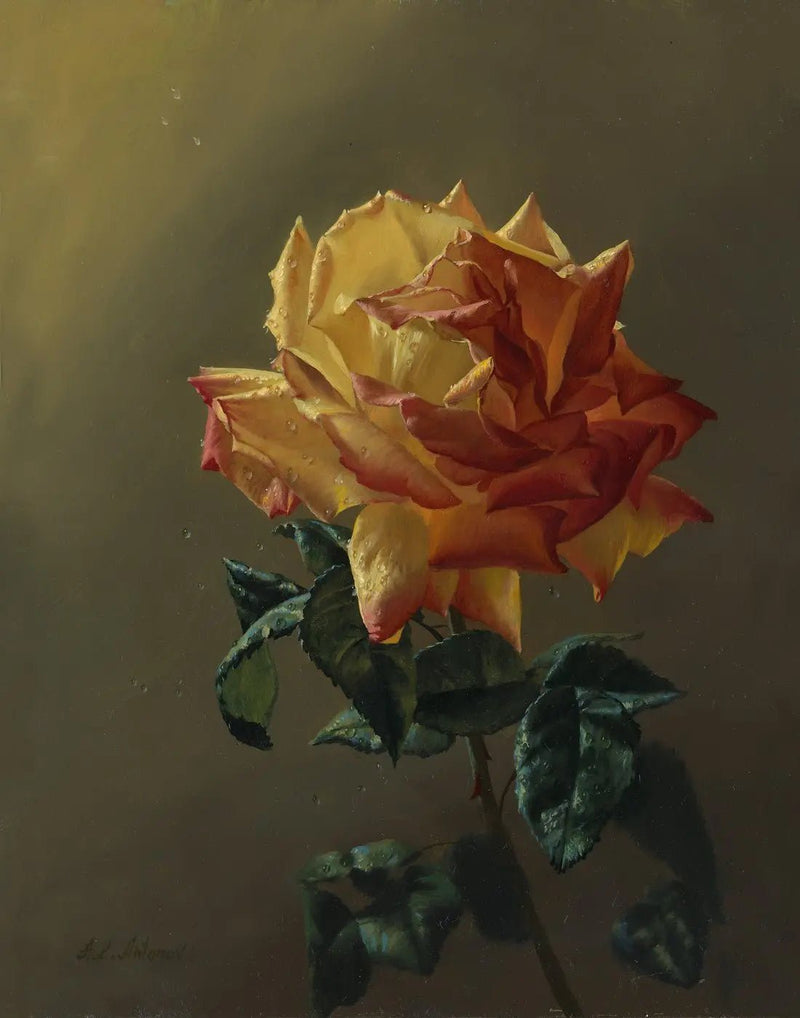Floral Oil Painting | Bi - colored Rose with Dew Drops - Oil Painting Haven