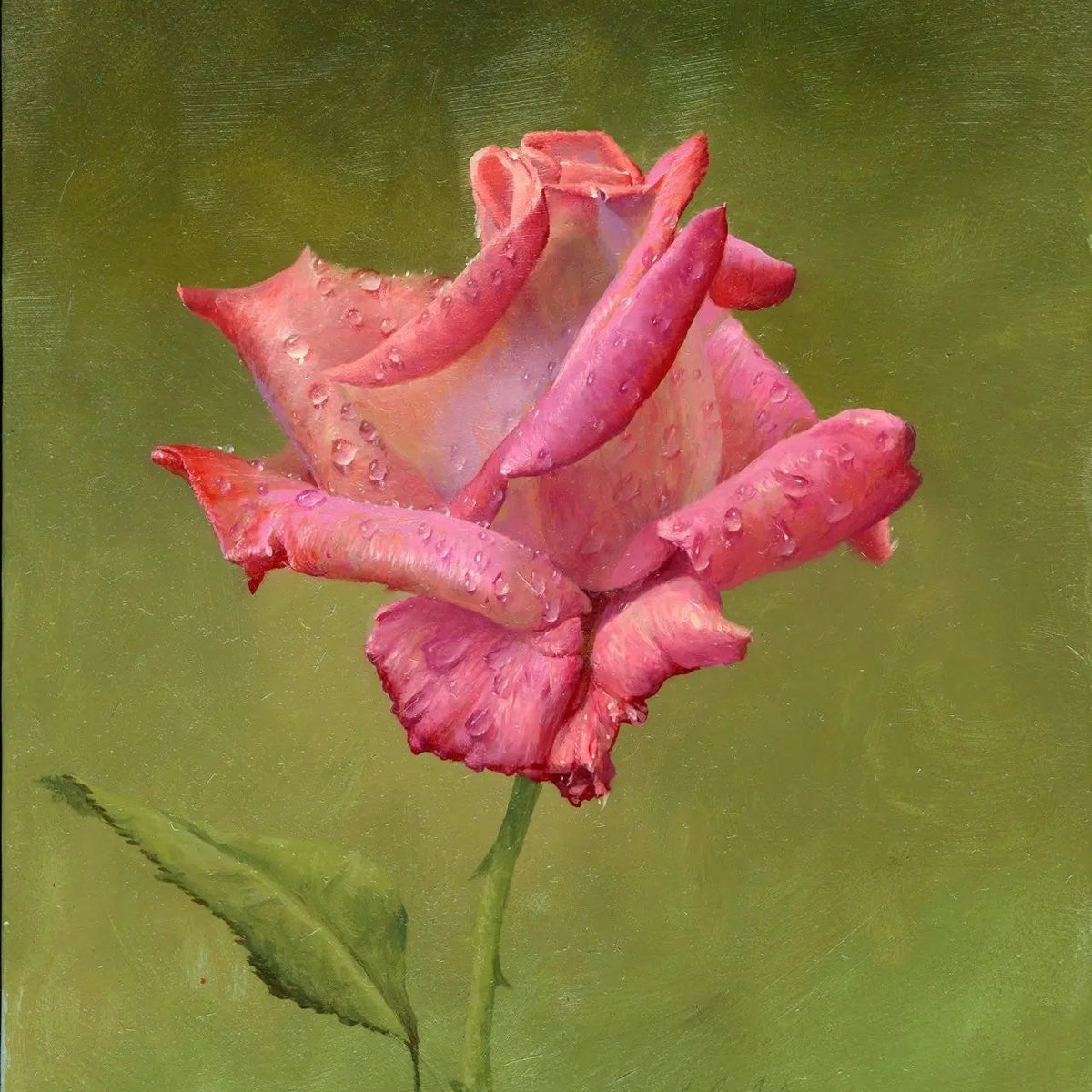Floral Oil Painting - Delicate Pink Rose with Dew Drops Wall Art - Oil Painting Haven