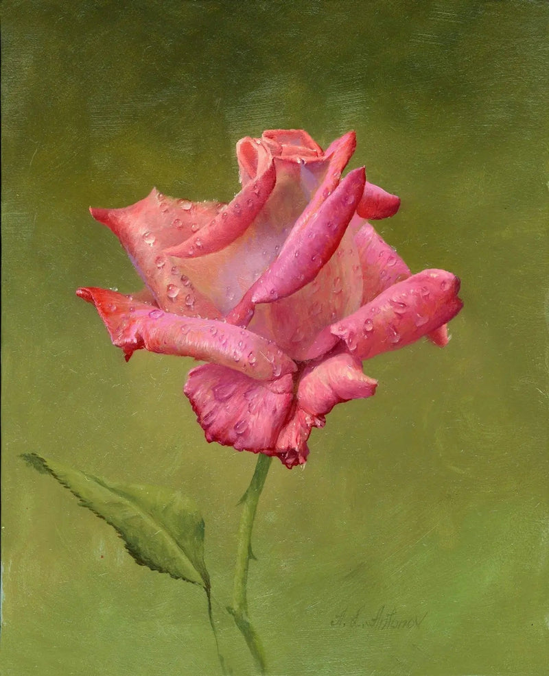Floral Oil Painting - Delicate Pink Rose with Dew Drops Wall Art - Oil Painting Haven