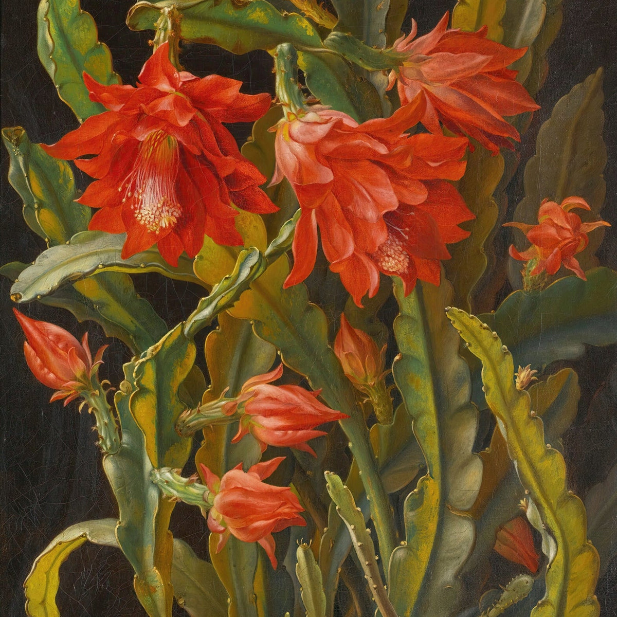 Floral Oil Painting - Hand - Painted Red Cactus Flower Wall Art - Oil Painting Haven
