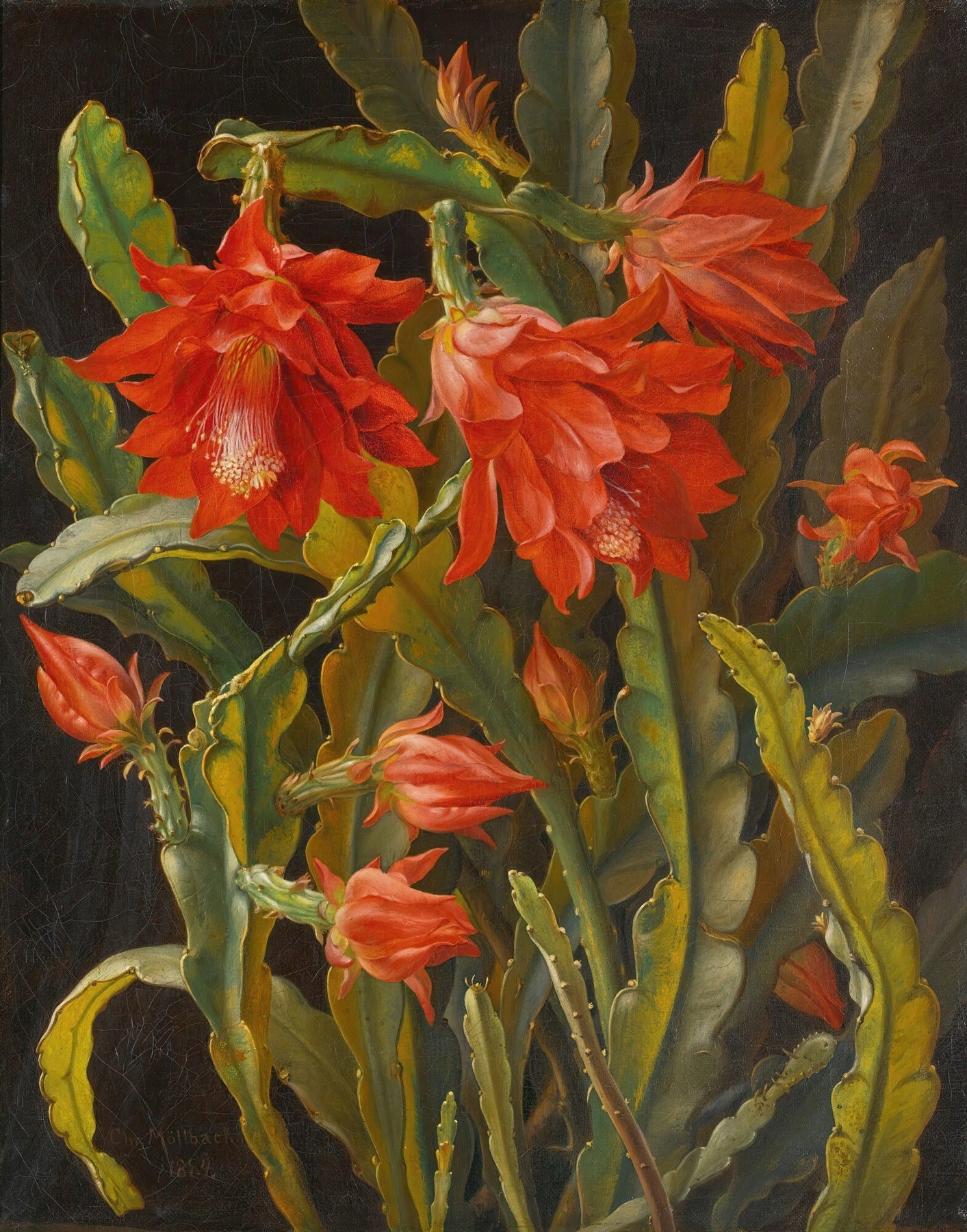 Floral Oil Painting - Hand - Painted Red Cactus Flower Wall Art - Oil Painting Haven