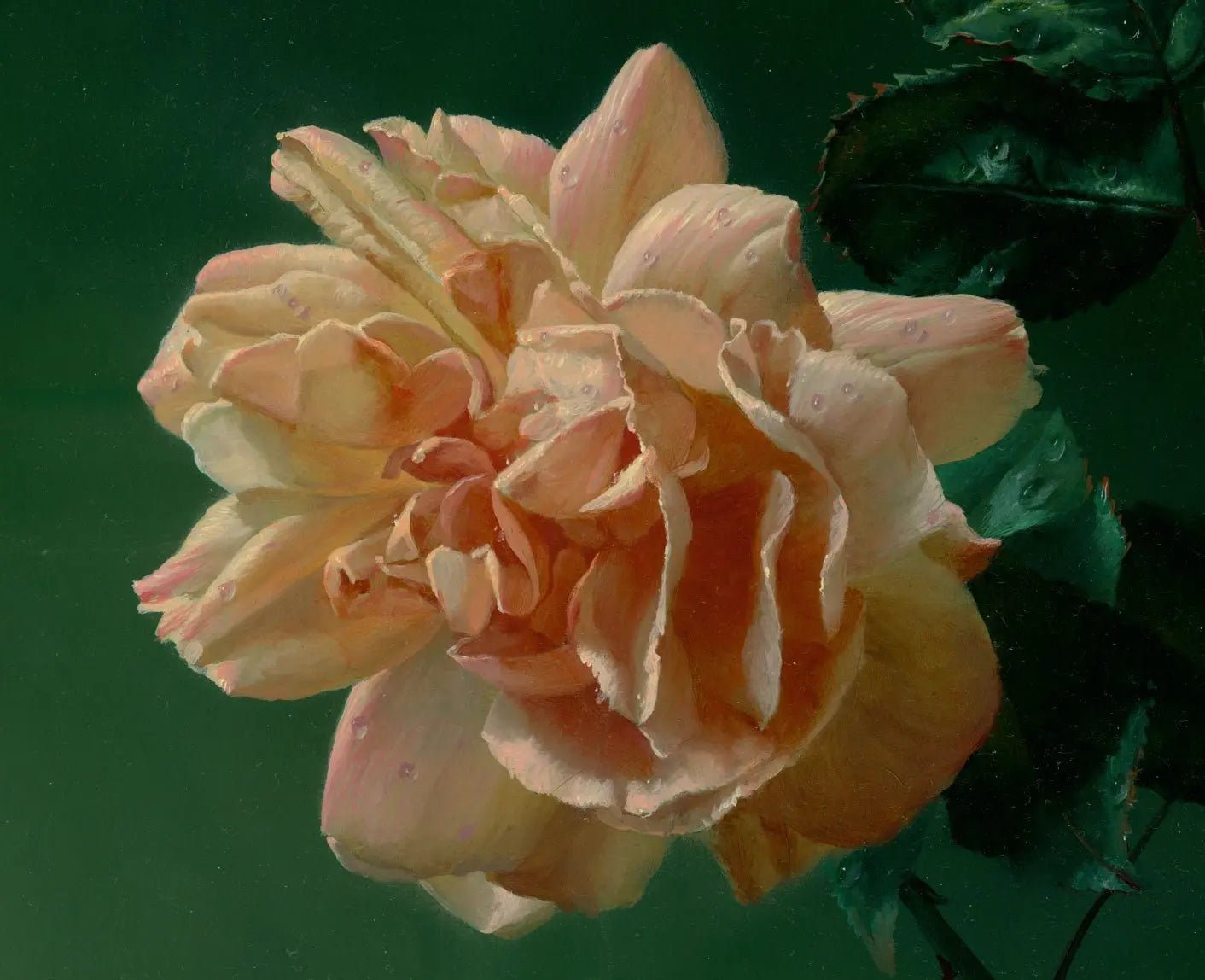 Floral Oil Painting - Peach Rose with Dew Drops - Oil Painting Haven