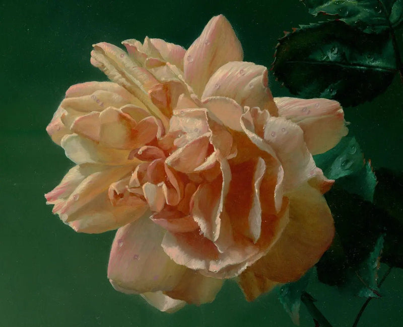 Floral Oil Painting - Peach Rose with Dew Drops - Oil Painting Haven