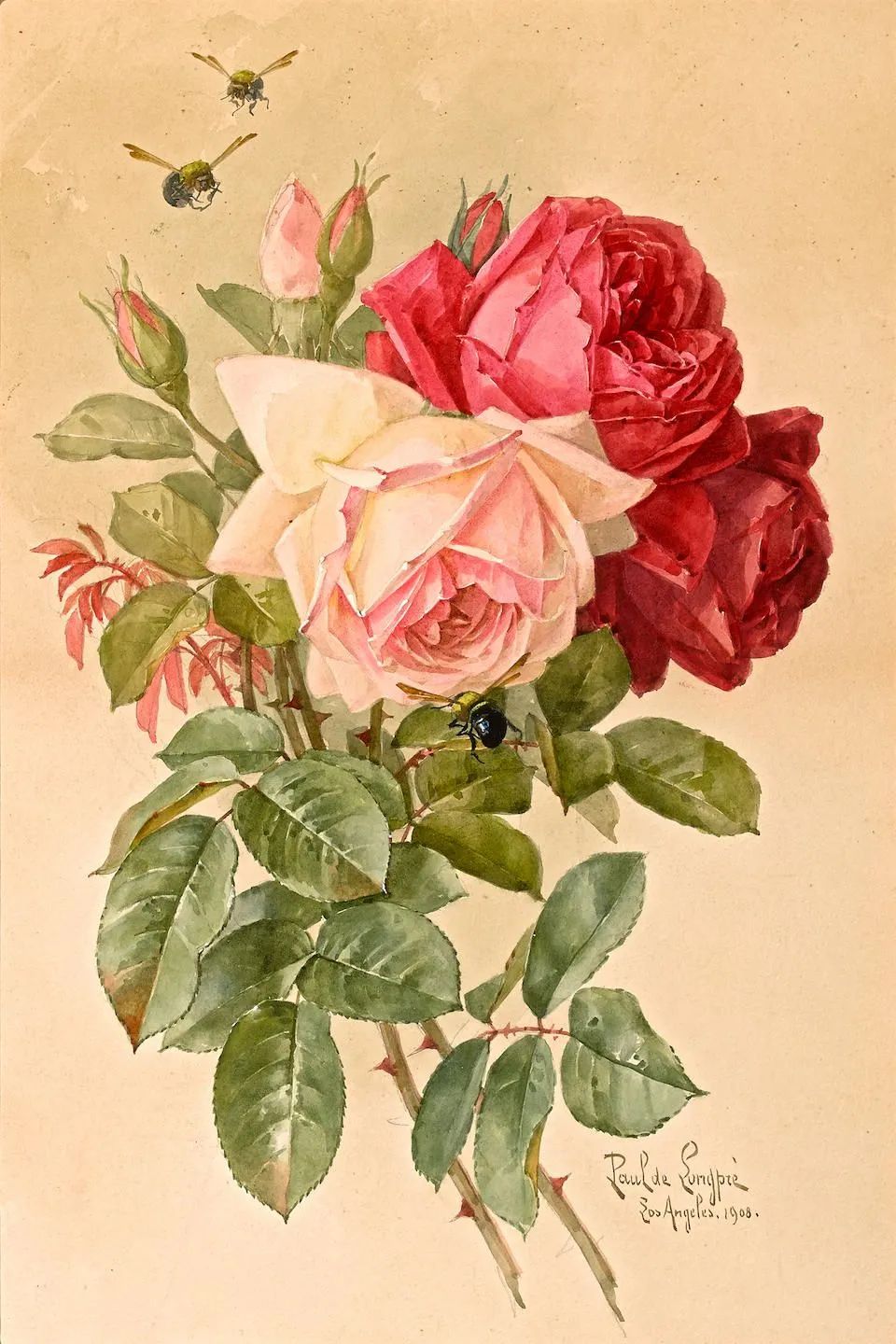 Floral Oil Painting - Pink and Red Rose Study with Bees