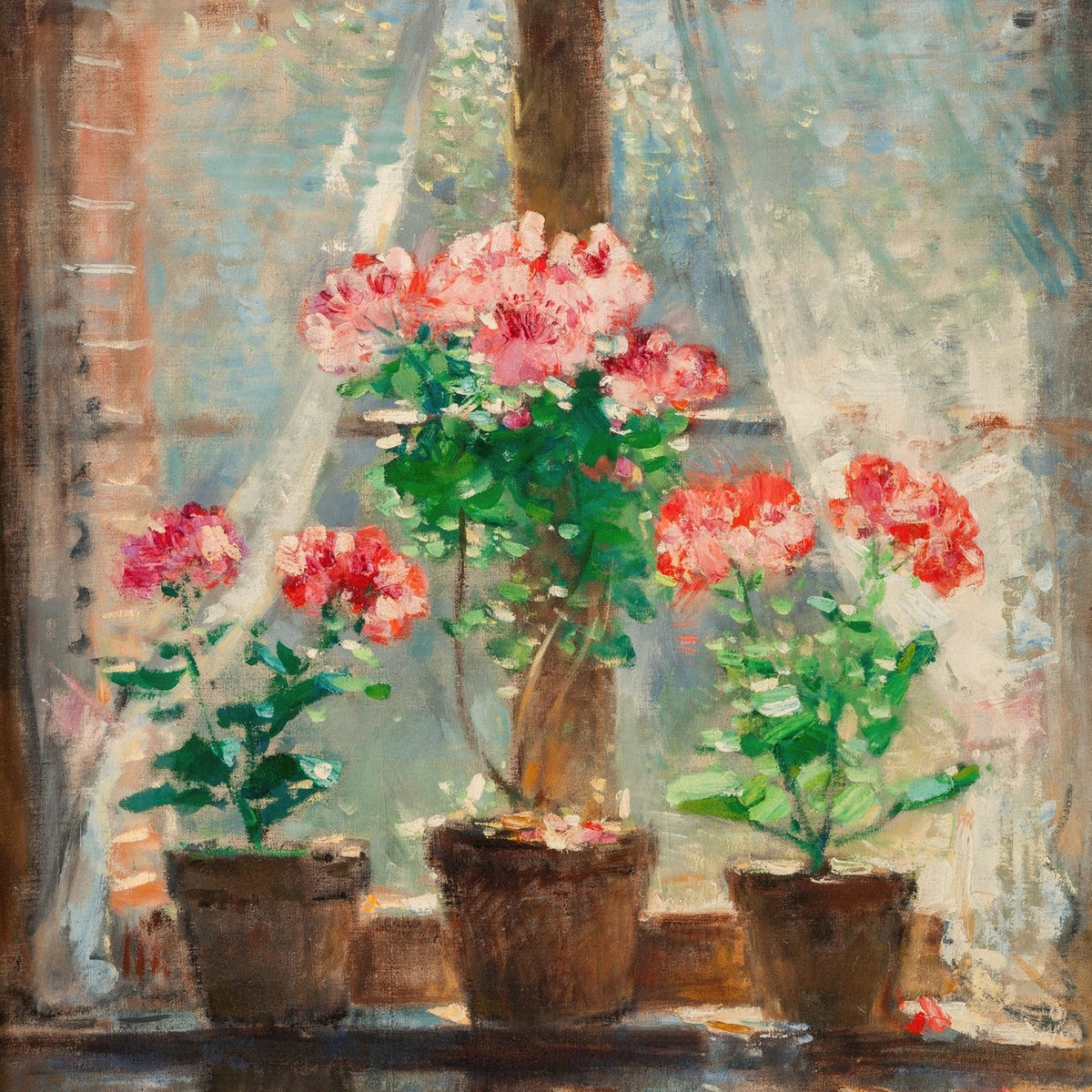 Floral Oil Painting - Pink Geraniums in a Sunlit Window
