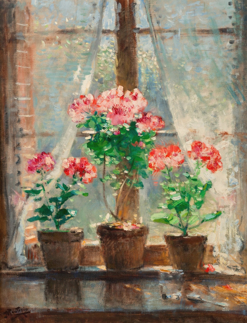 Floral Oil Painting - Pink Geraniums in a Sunlit Window