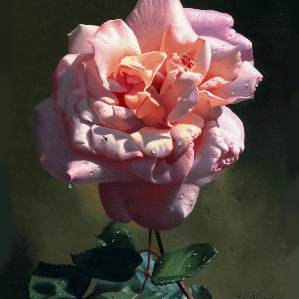 Floral Oil Painting - Pink Rose with Dew Drops - Oil Painting Haven