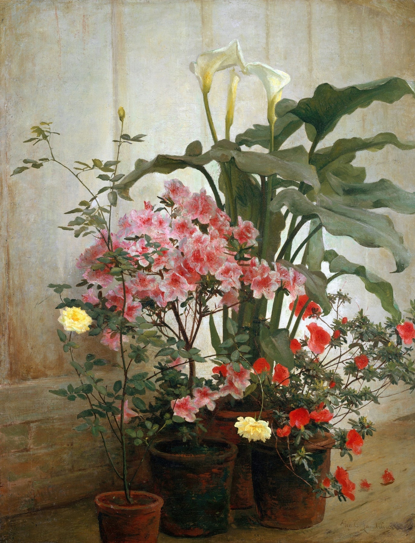 Floral Oil Painting - Potted Flowers Still Life Hand - Painted - Oil Painting Haven