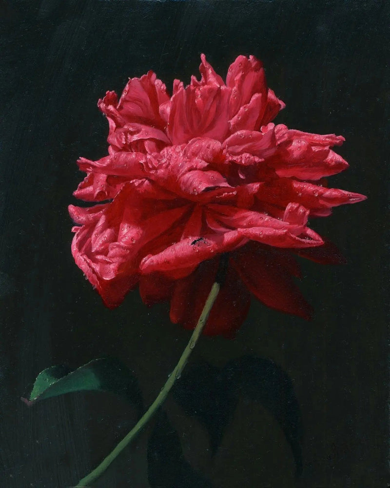 Floral Oil Painting - Red Peony with Insect on Dark Background - Oil Painting Haven