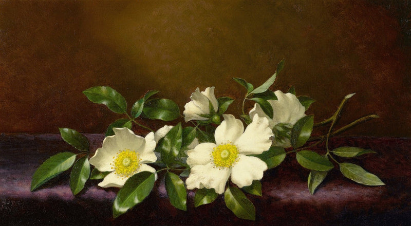 Floral Oil Painting - White Blossom Branch Hand - Painted Art - Oil Painting Haven