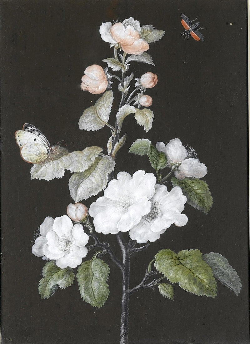 Floral Oil Painting - White Blossom Branch with Butterfly Art - Oil Painting Haven