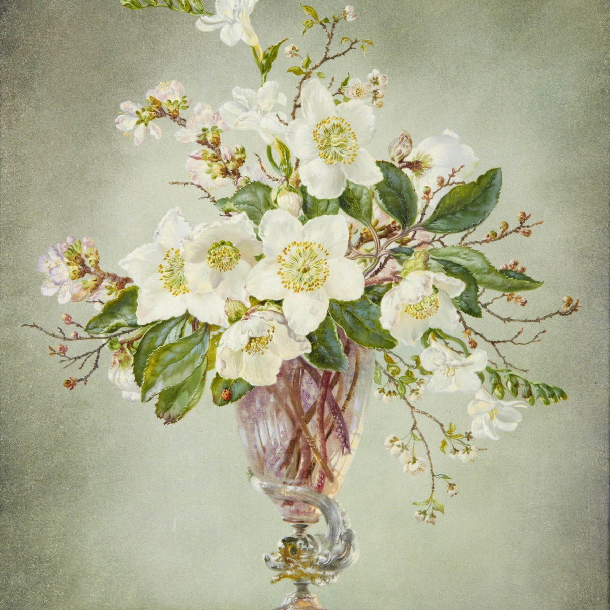 Floral Oil Painting - White Blossoms in Glass Vase Still Life - Oil Painting Haven
