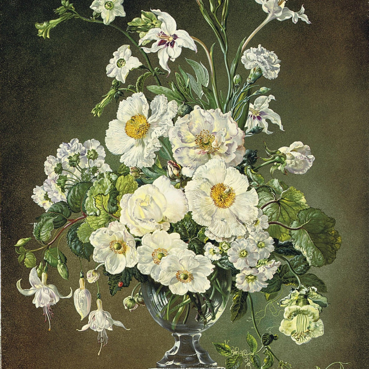 Floral Oil Painting - White Flowers in Glass Vase Still Life Art - Oil Painting Haven