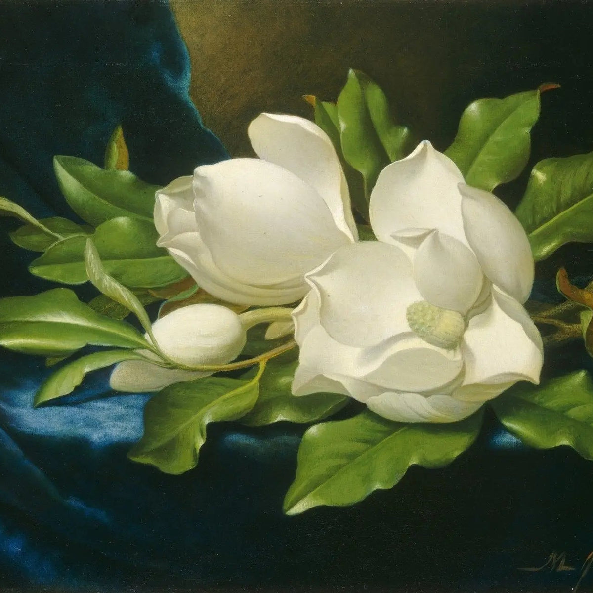 Floral Oil Painting - White Magnolias on Blue Fabric - Oil Painting Haven