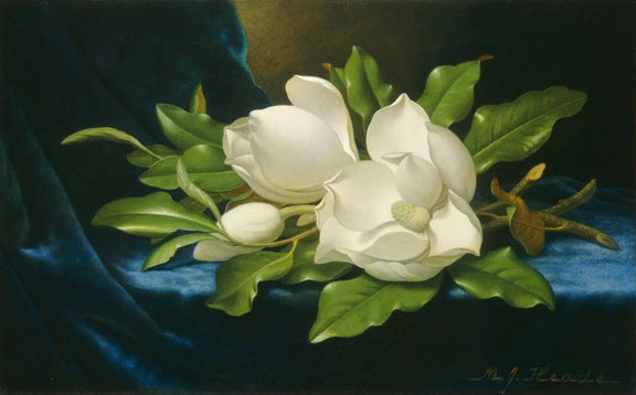 Floral Oil Painting - White Magnolias on Blue Fabric - Oil Painting Haven