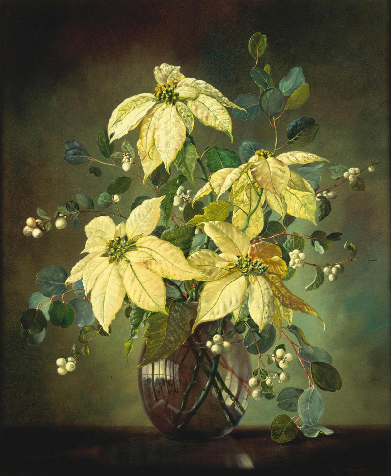 Floral Oil Painting - White Poinsettia Still Life in Glass Vase - Oil Painting Haven