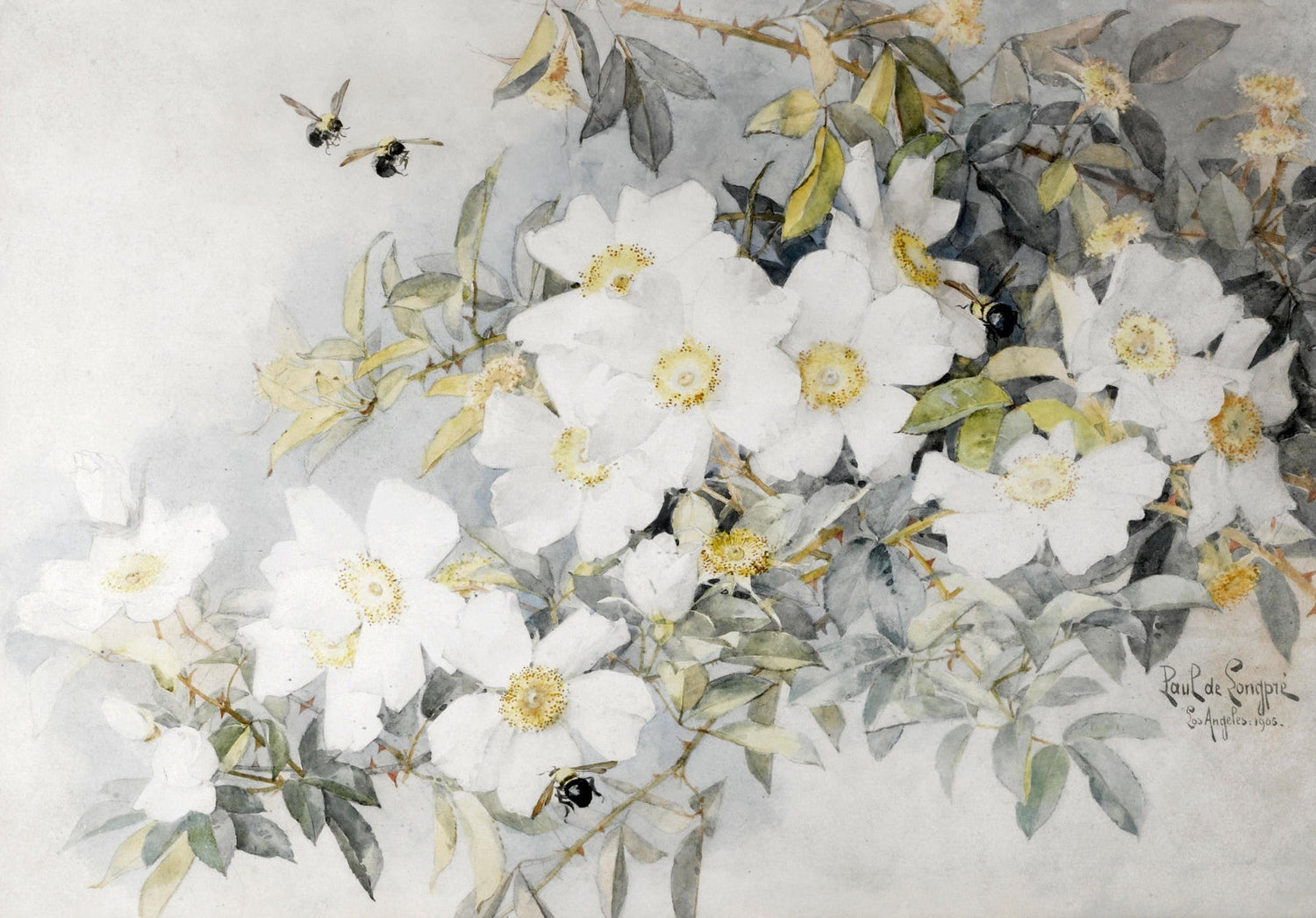 Floral Oil Painting - White Wild Roses and Bees Botanical Art - Oil Painting Haven