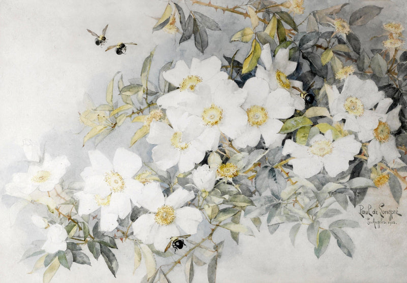 Floral Oil Painting - White Wild Roses and Bees Botanical Art - Oil Painting Haven
