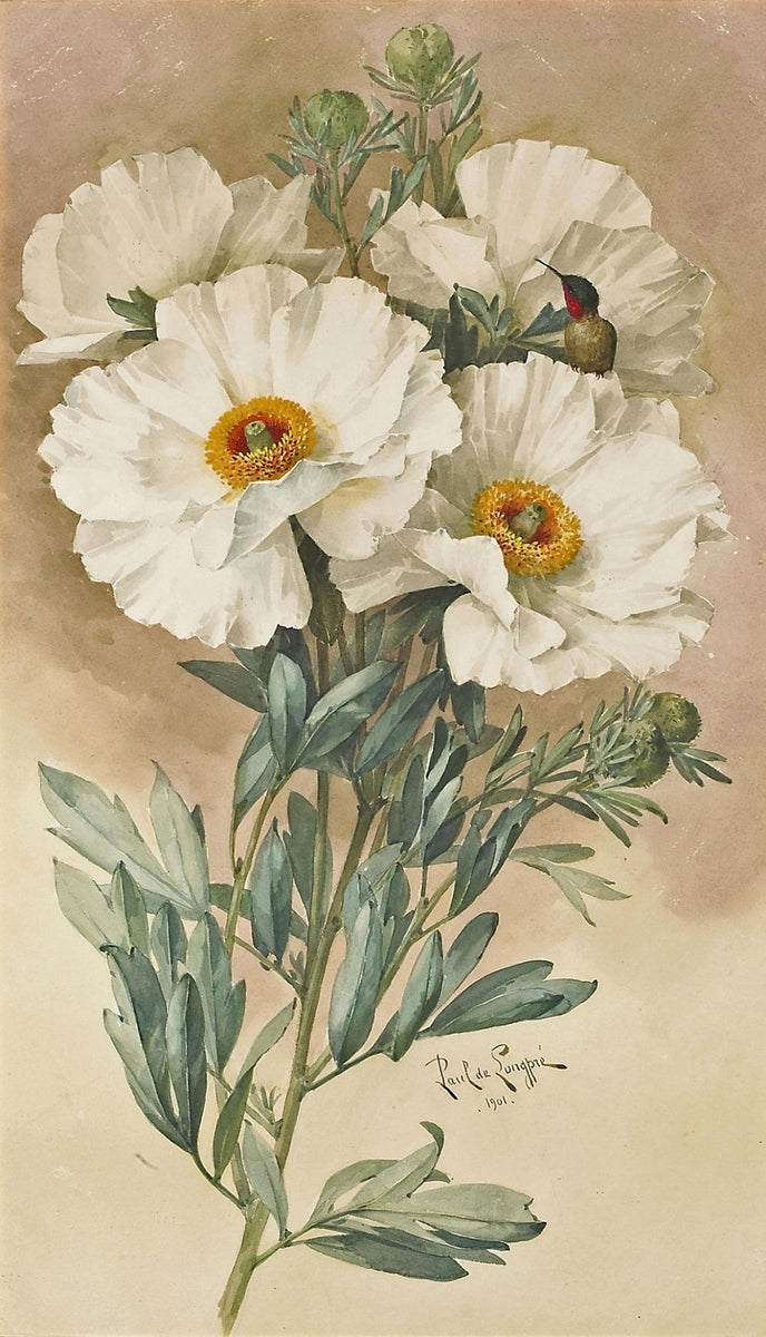 Floral Oil Painting - White Wildflowers with Hummingbird Art - Oil Painting Haven