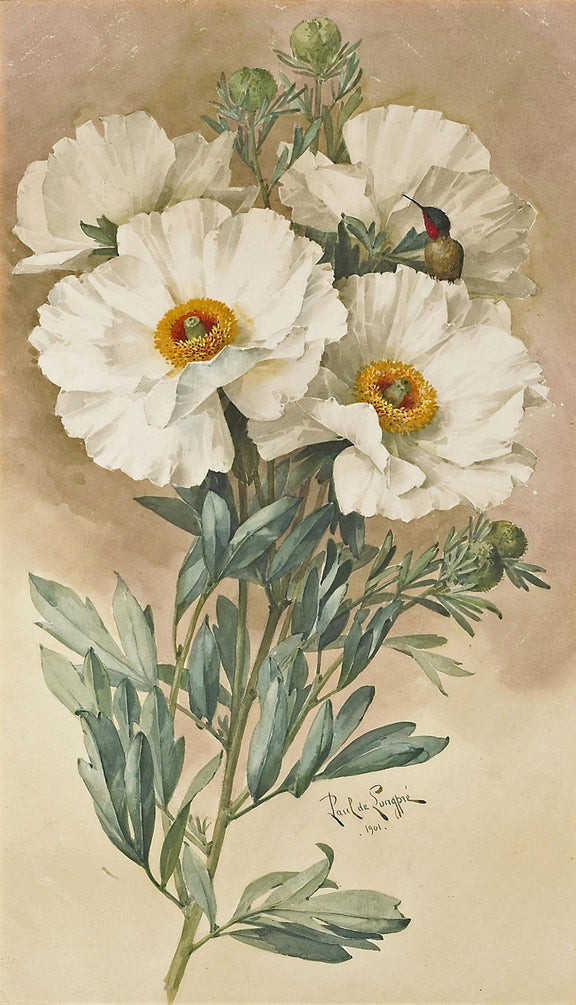Floral Oil Painting - White Wildflowers with Hummingbird Art - Oil Painting Haven