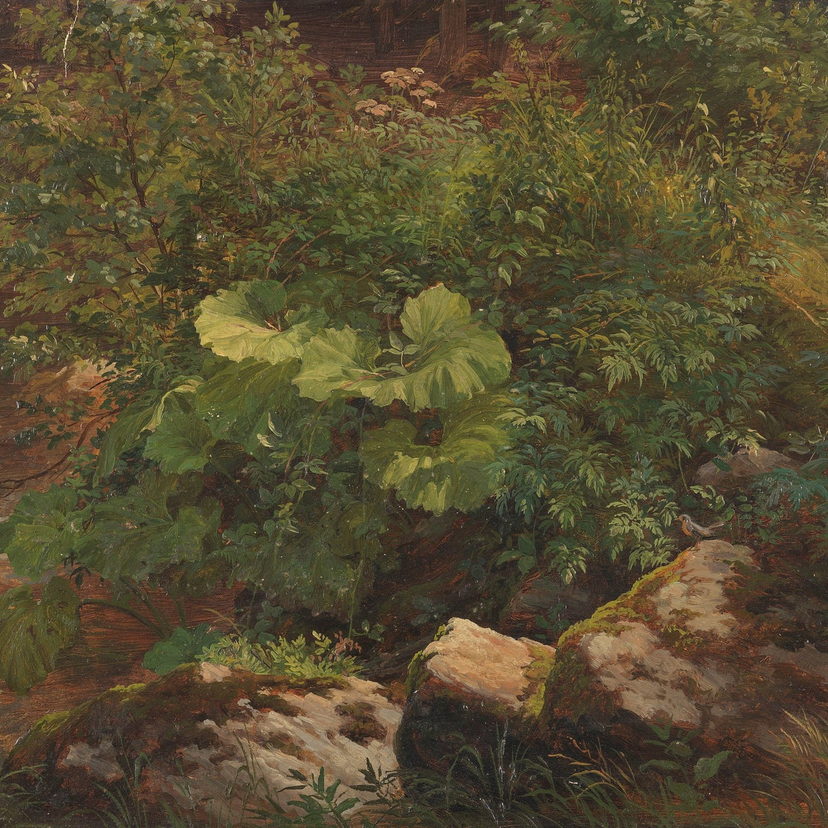 Forest Undergrowth, Rocks, Wild Leaves – Hand - Painted Oil Painting - Oil Painting Haven