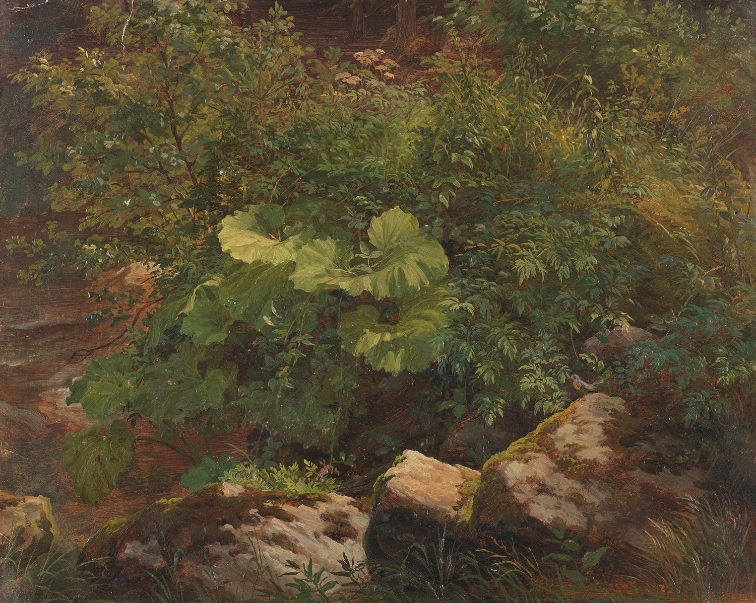 Forest Undergrowth, Rocks, Wild Leaves – Hand - Painted Oil Painting - Oil Painting Haven