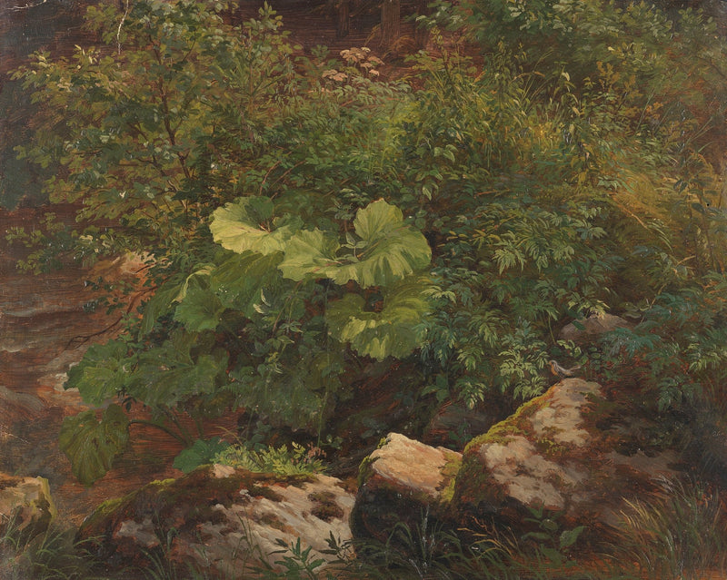Forest Undergrowth, Rocks, Wild Leaves – Hand - Painted Oil Painting - Oil Painting Haven