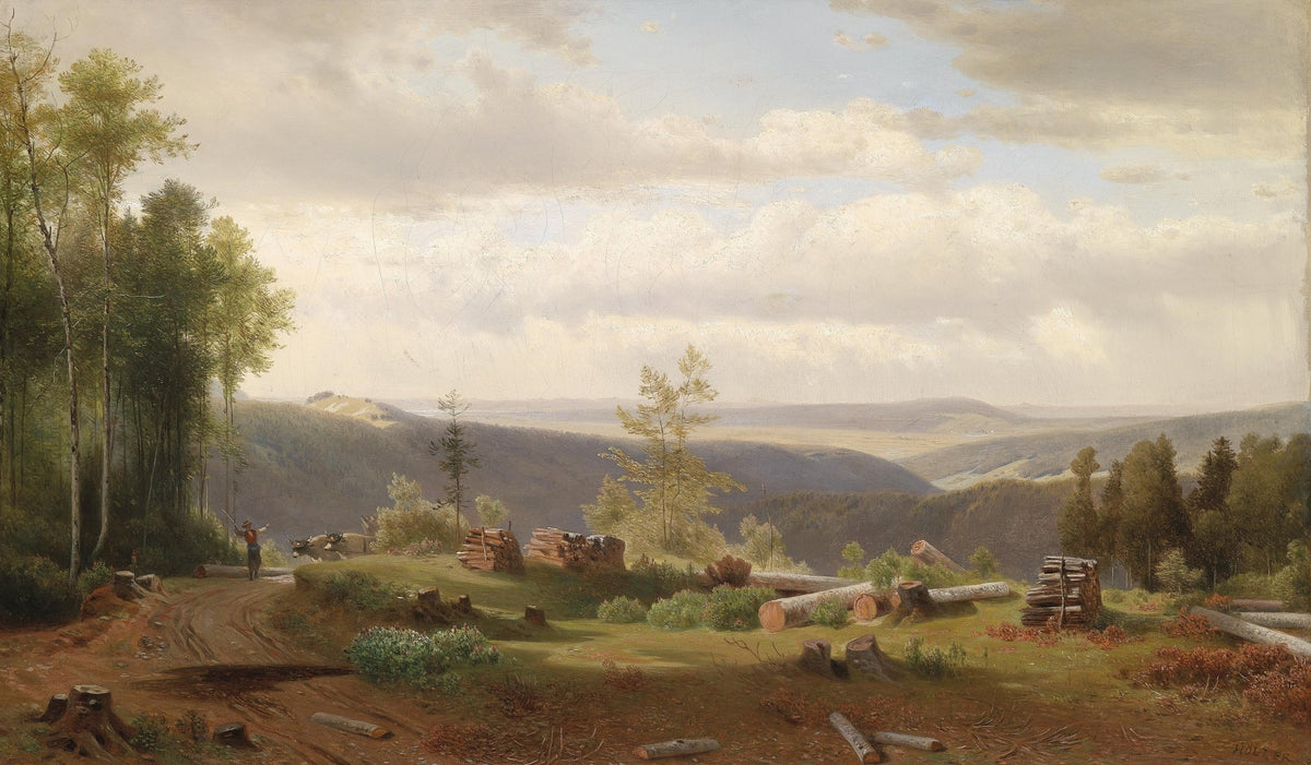 Forest Valley Landscape Oil Painting with Hills and Open Meadow - Oil Painting Haven