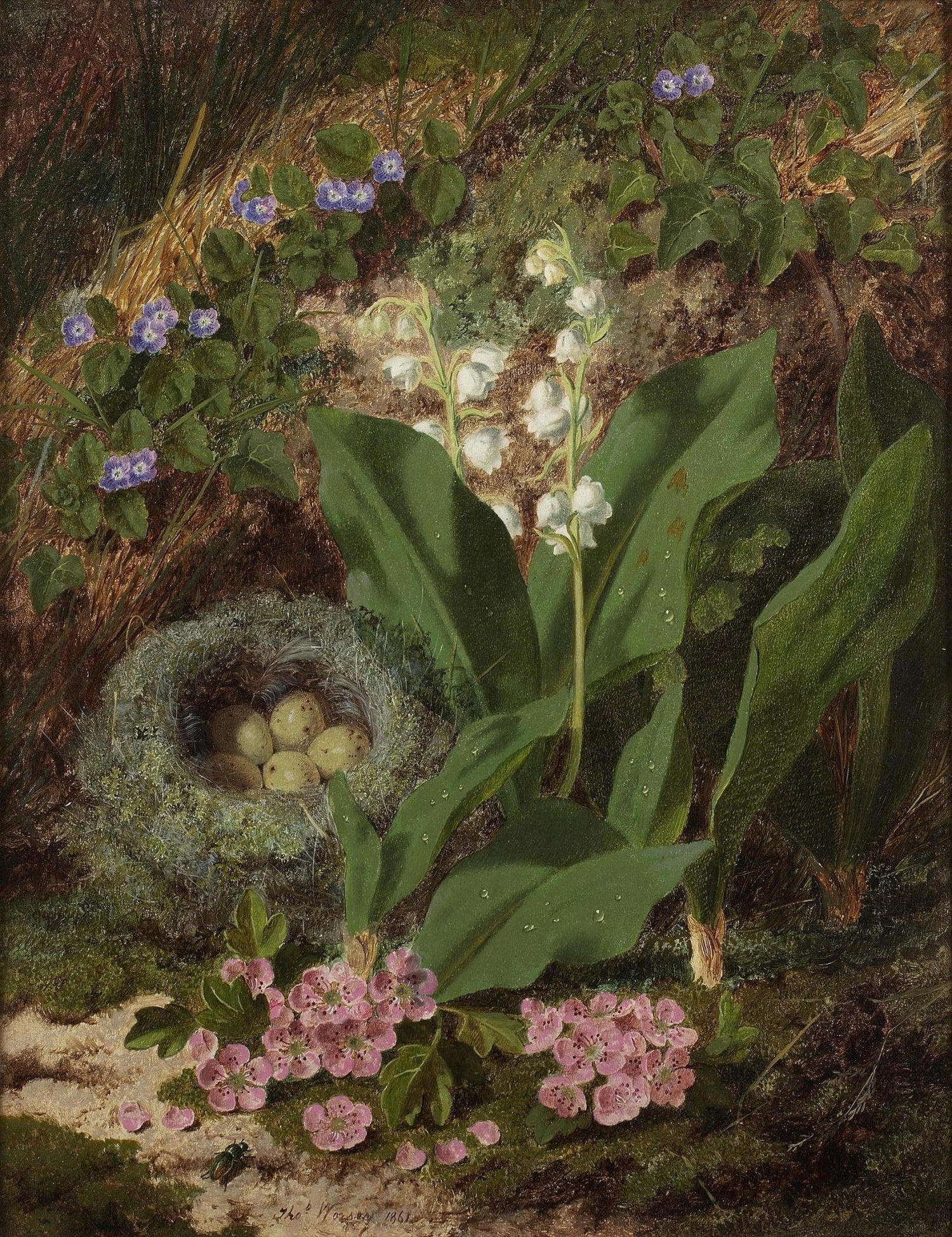 Forest Wildflowers with Bird Nest – Floral Oil Painting - Oil Painting Haven