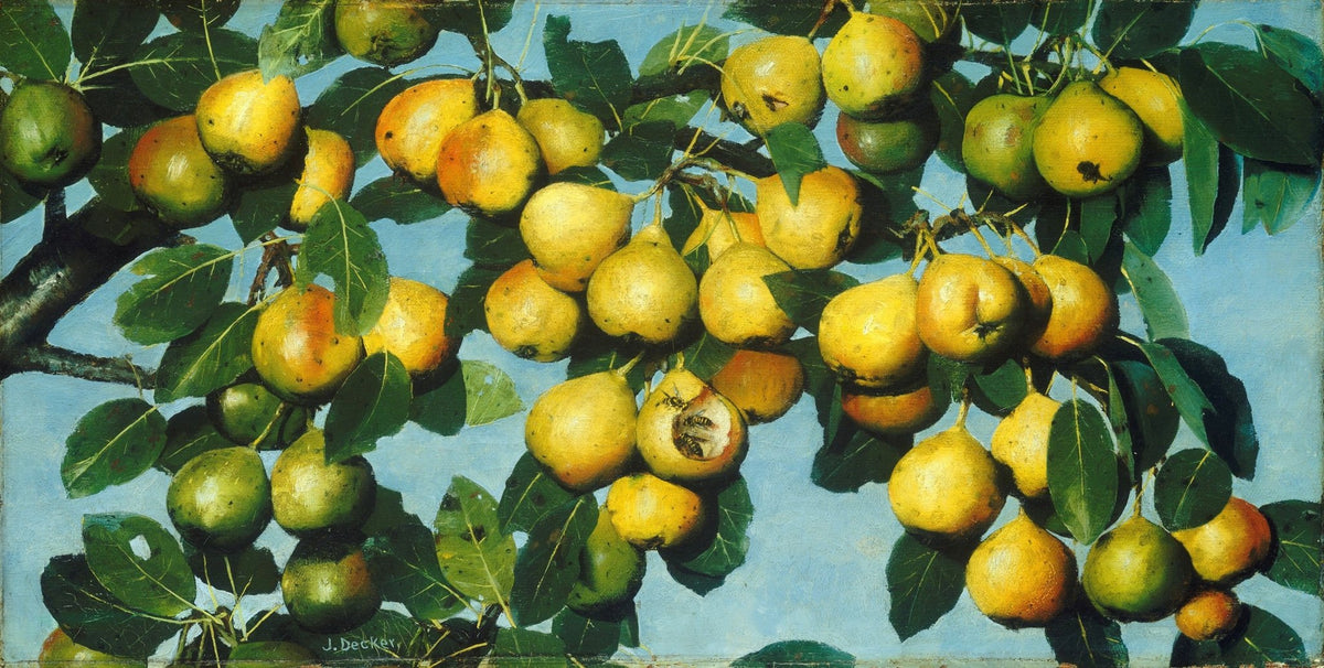 Golden Pears on Branch with Leaves - Still Life Oil Painting - Oil Painting Haven