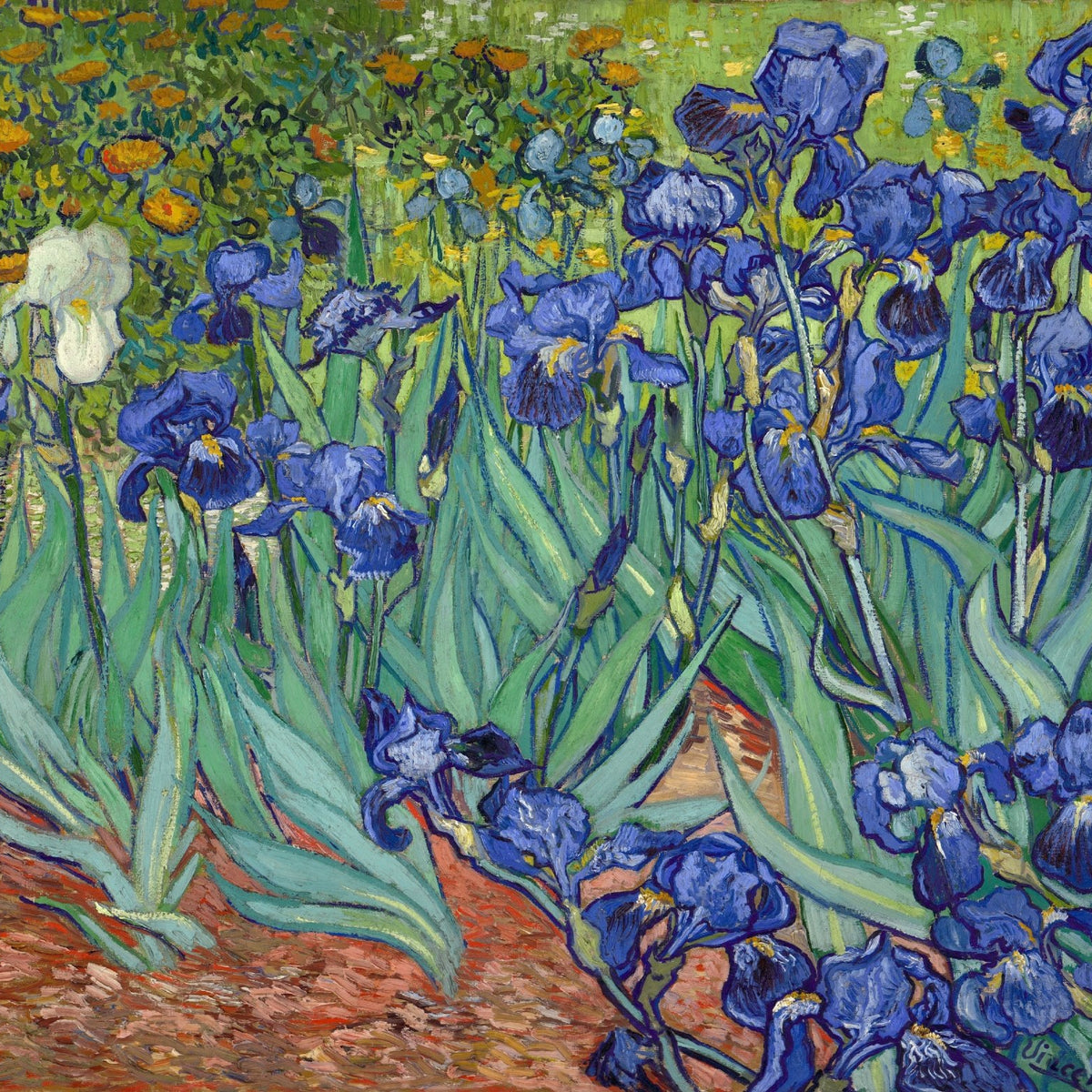 Hand - Painted Blue Irises Garden Scene - Floral Oil Painting - Oil Painting Haven