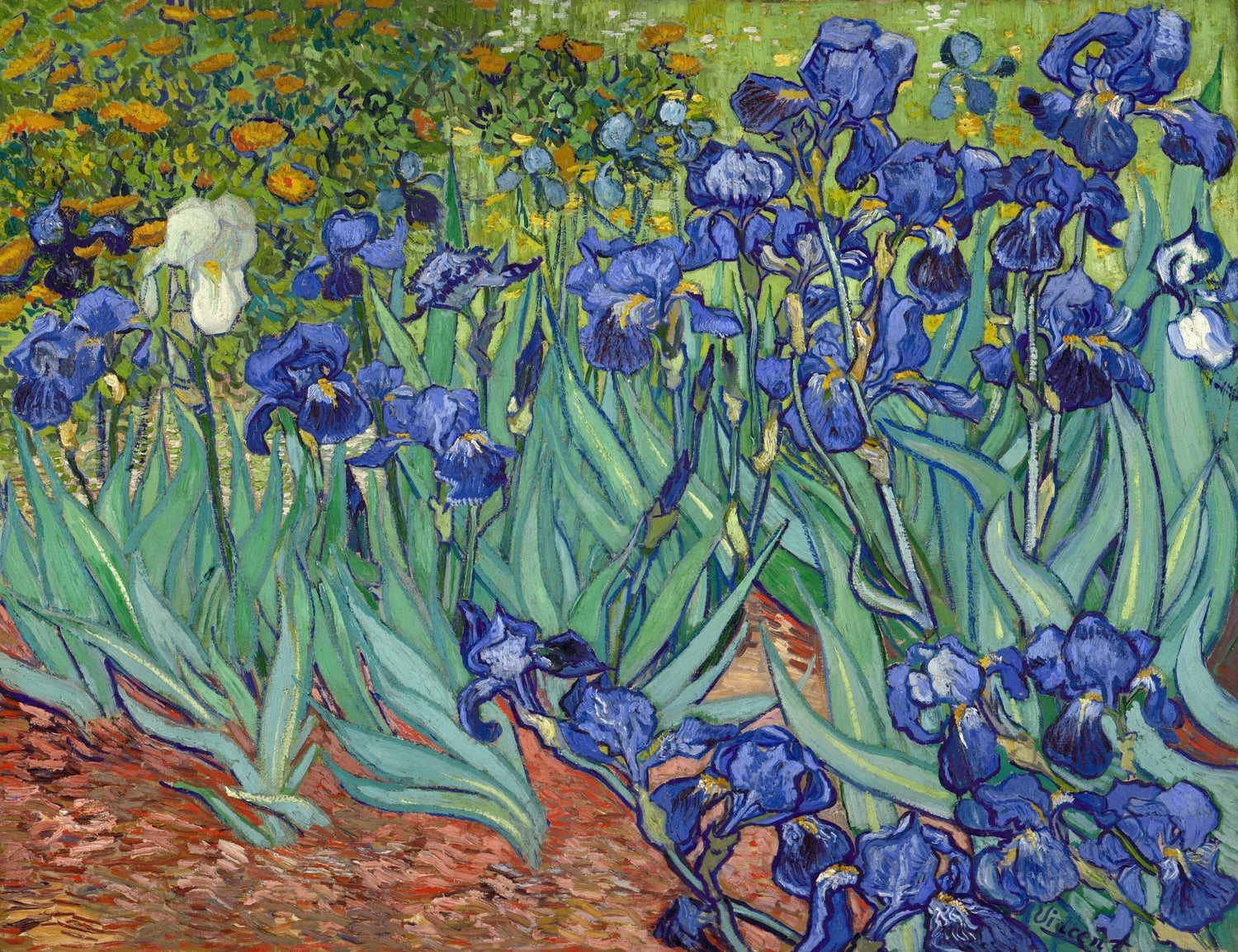 Hand - Painted Blue Irises Garden Scene - Floral Oil Painting - Oil Painting Haven