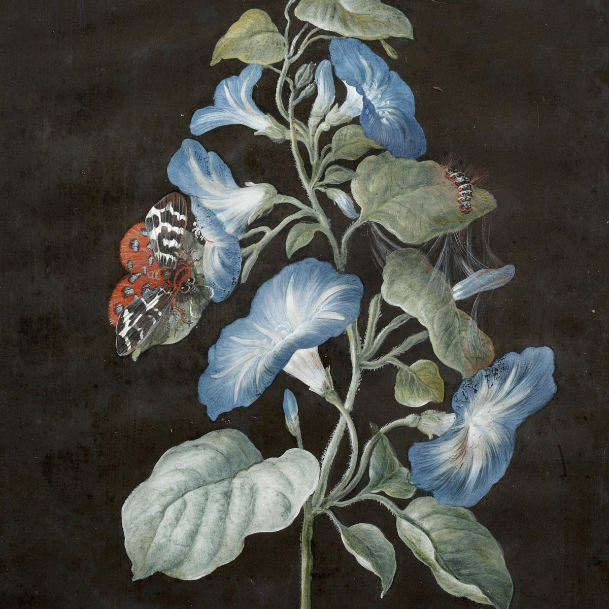 Hand - Painted Blue Morning Glory Still Life – Floral Oil Painting - Oil Painting Haven