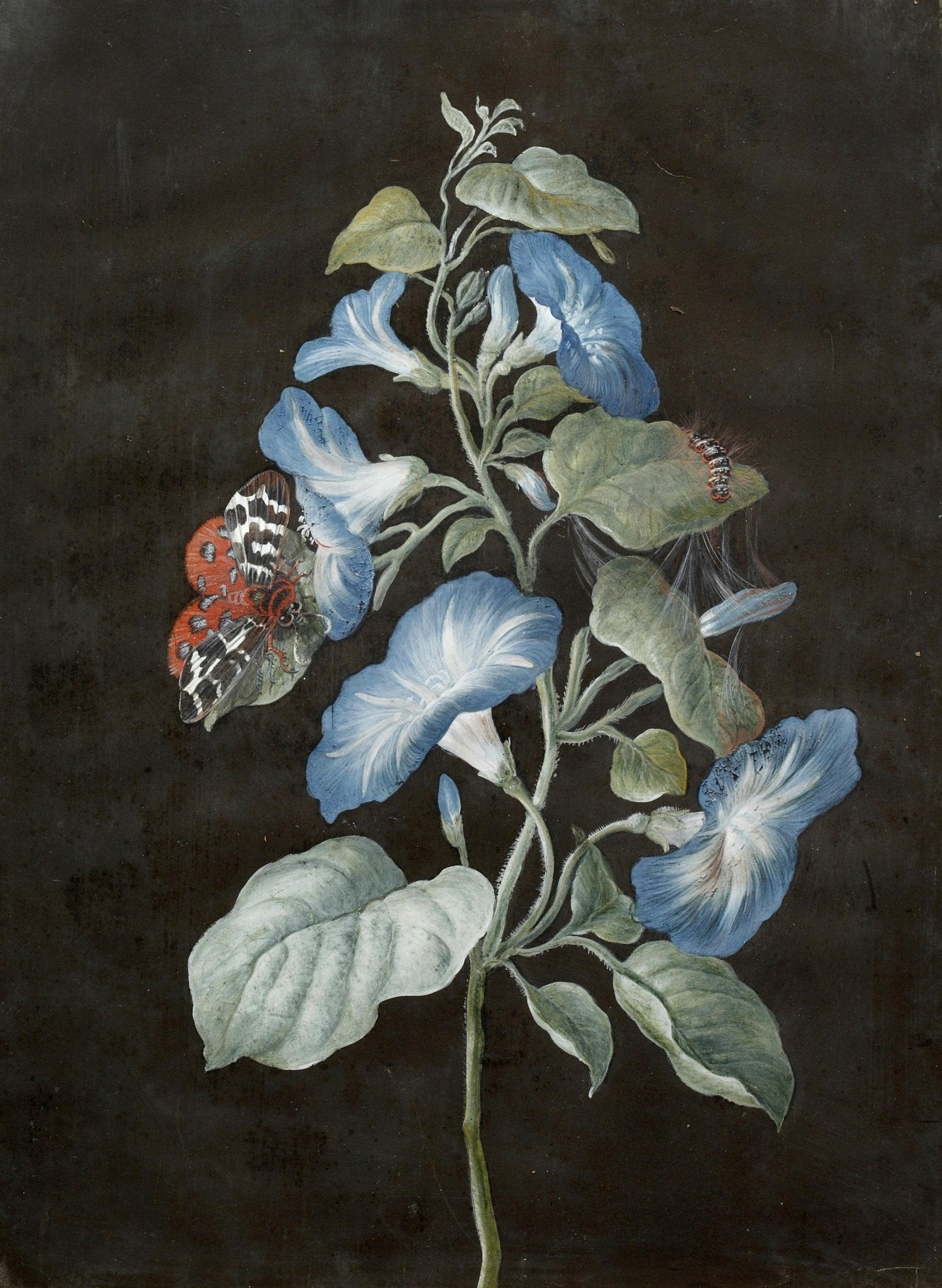 Hand - Painted Blue Morning Glory Still Life – Floral Oil Painting - Oil Painting Haven