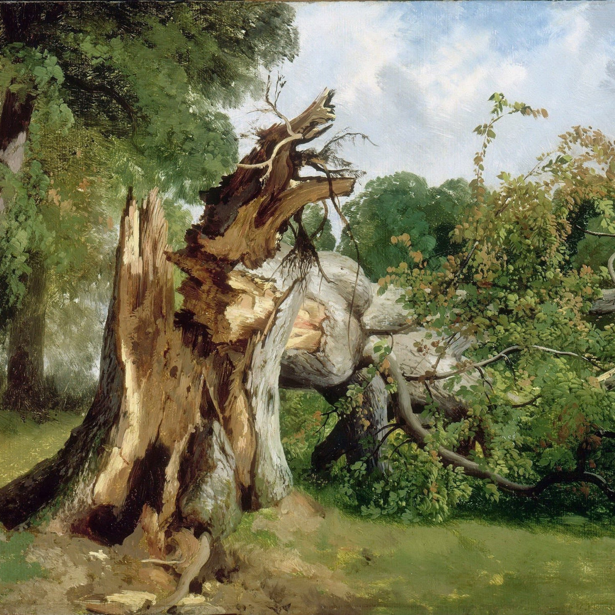 Hand - Painted Broken Tree in Forest - Landscape Oil Painting - Oil Painting Haven