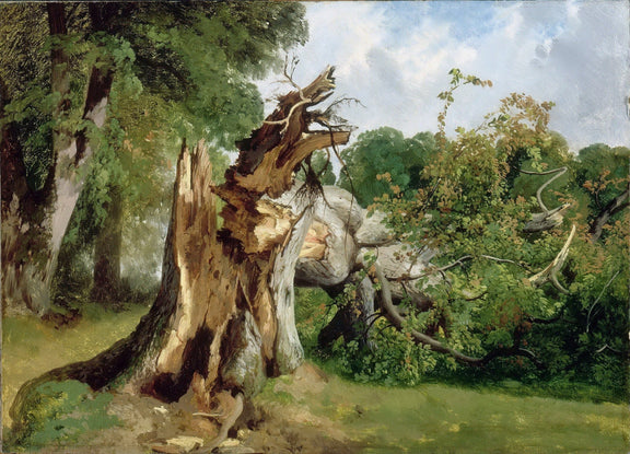 Hand - Painted Broken Tree in Forest - Landscape Oil Painting - Oil Painting Haven