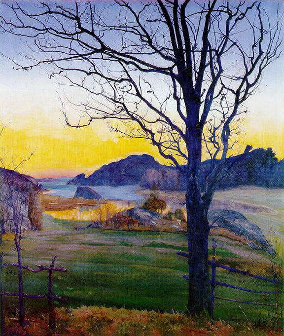 Hand - Painted Coastal Sunset Tree View - Landscape Oil Painting - Oil Painting Haven