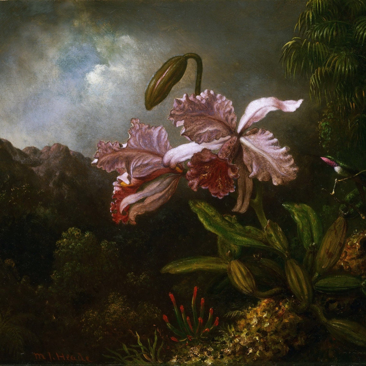 Hand - Painted Jungle Orchid Botanical Art - Floral Oil Painting - Oil Painting Haven
