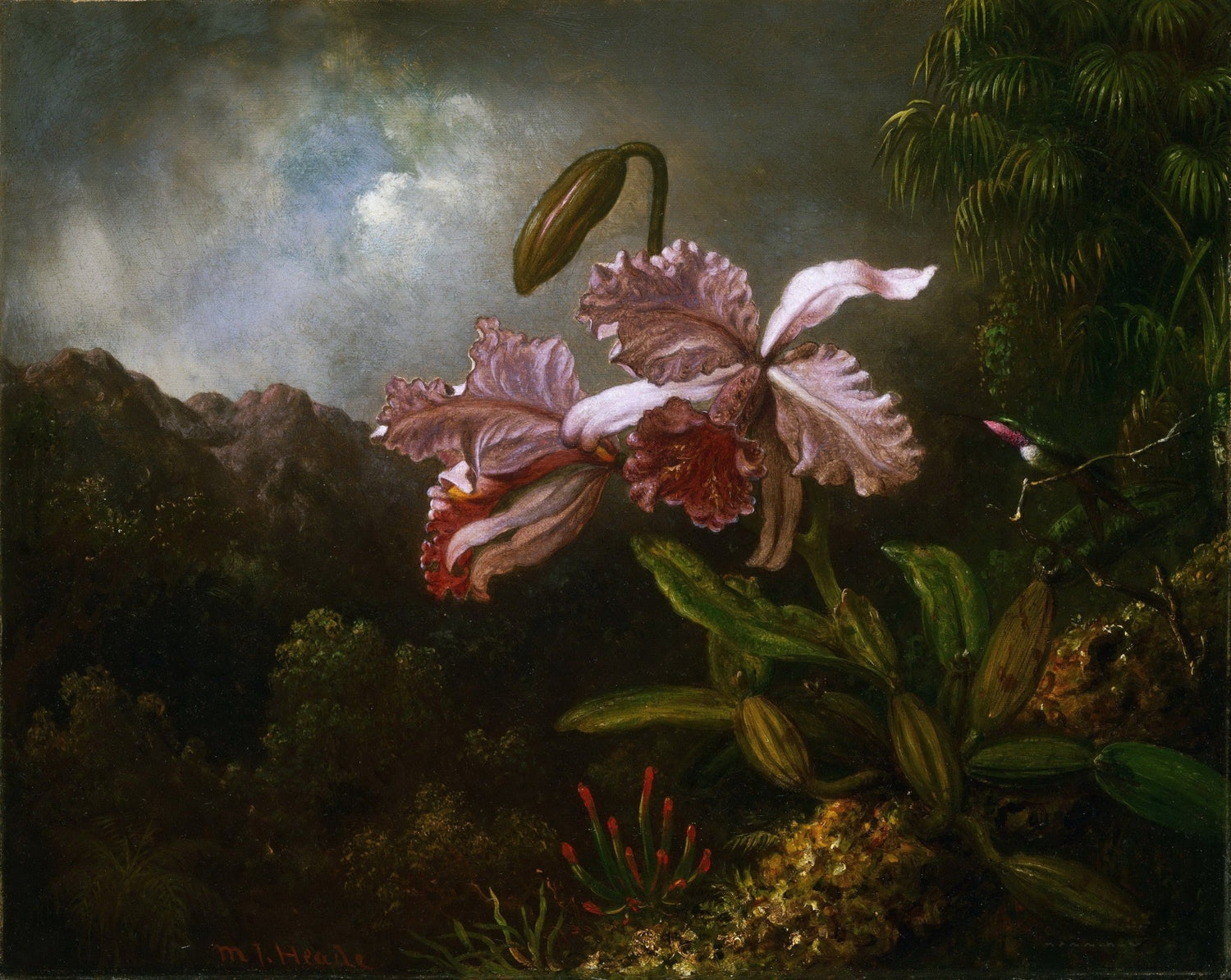 Hand - Painted Jungle Orchid Botanical Art - Floral Oil Painting - Oil Painting Haven