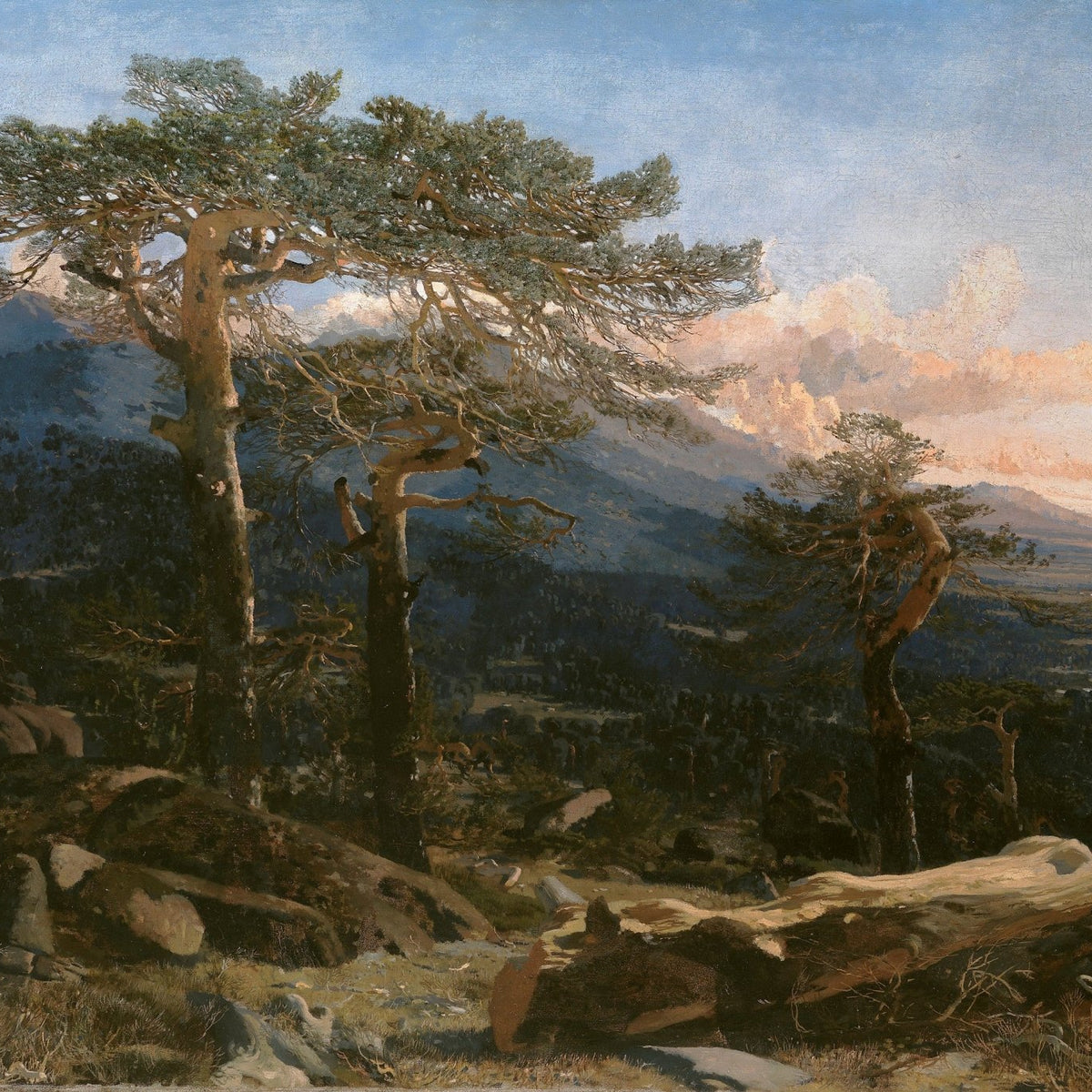 Hand - Painted Mountain Pine Forest Scene - Landscape Oil Painting - Oil Painting Haven