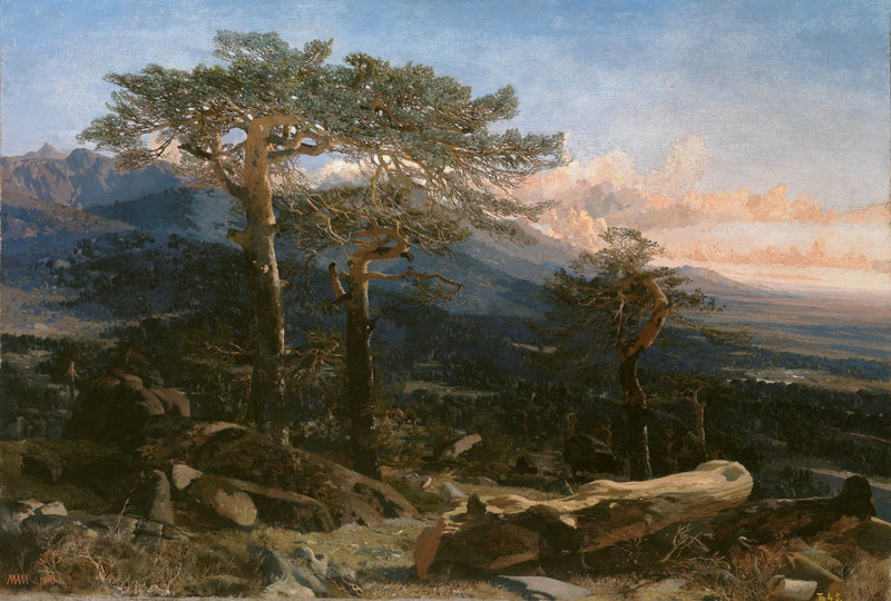 Hand - Painted Mountain Pine Forest Scene - Landscape Oil Painting - Oil Painting Haven