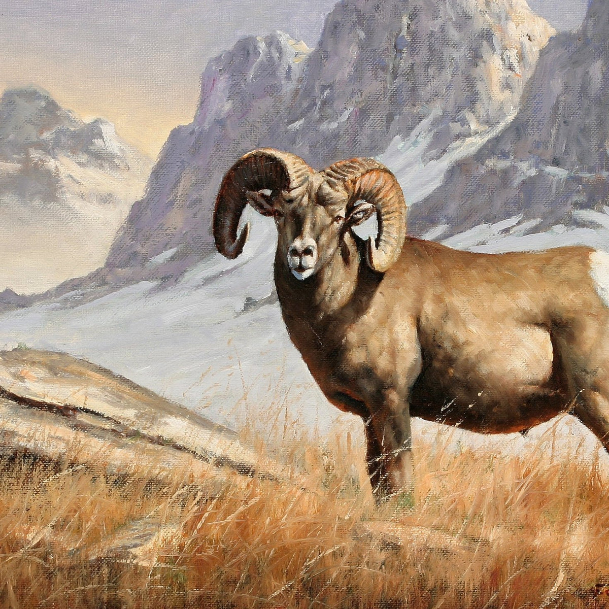 Hand - Painted Mountain Ram Portrait - Animals Oil Painting - Oil Painting Haven