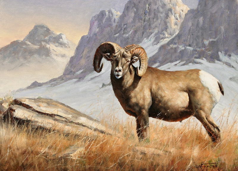 Hand - Painted Mountain Ram Portrait - Animals Oil Painting - Oil Painting Haven