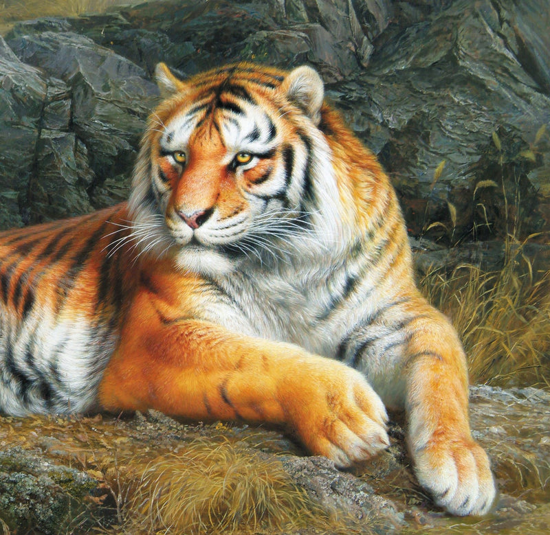 Hand - Painted Resting Tiger Portrait - Animals Oil Painting - Oil Painting Haven