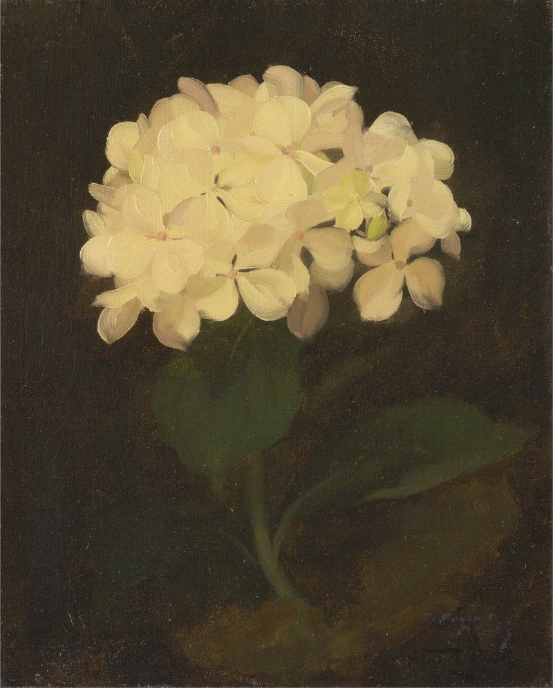 Hand - Painted White Hydrangea Still Life – Floral Oil Painting - Oil Painting Haven